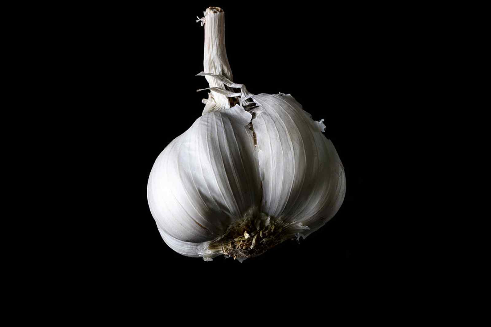 Ms. Garlic - The Veggie Collection 2020
